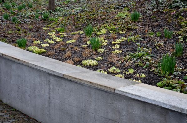 Concrete Wall Construction in Smyrna