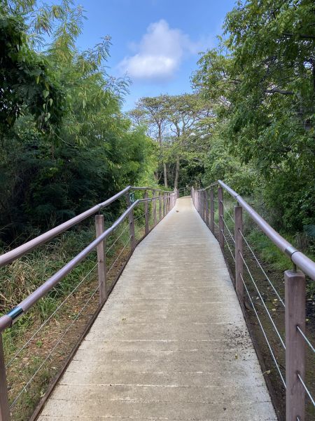 Footpath Construction in Smyrna