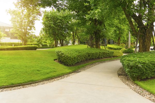 Walkway Concrete Installation in Smyrna