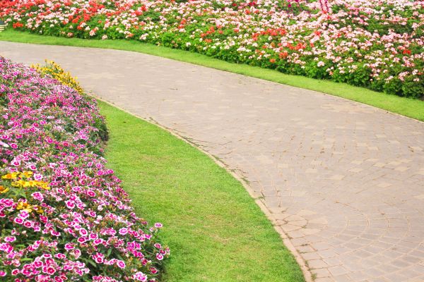 Concrete Walkway Service in Smyrna