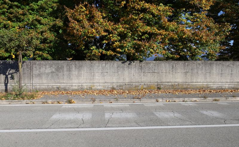 Autumn Concrete Curing